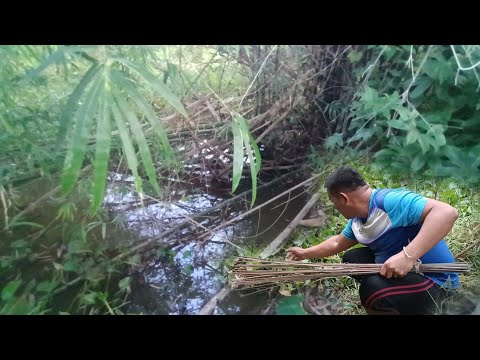 ขุดปูน้อยปักเบ็ด20คันในลำห