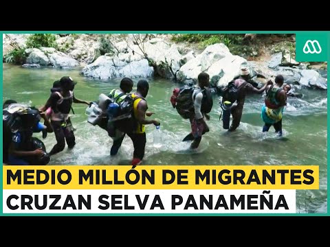 Más de medio millón de migrantes han cruzado selva panameña el 2023
