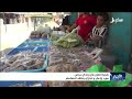 شجرة اللبان في وادي دوعن .. مورد زراعي وتجاري يفتقد للاهتمام