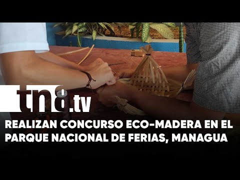 Realizan concurso eco-madera en el Parque Nacional de Ferias, Managua - Nicaragua