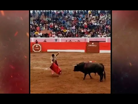 Arequipa: Torero sufre grave herida en la pierna al ser corneado por un toro