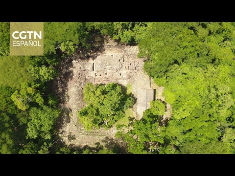 Li Xinwei espera poder realizar más trabajos arqueológicos en Latinoamérica