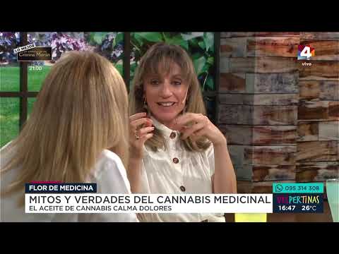 Vespertinas - No se debe distinguir el cannabis medicinal del recreativo