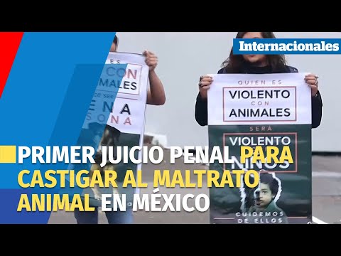 El primer juicio penal para castigar el maltrato animal hace historia en México