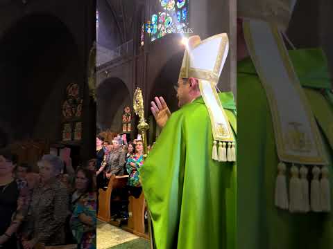 Saludo del Papa Francisco para la Arquidiocesis de Manizales #fe #papafrancisco