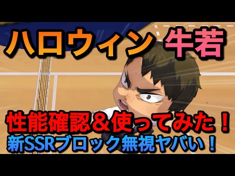 【ハイドリ】怪物レベルに魔改造⁉︎『ハロウィン・牛若』性能評価&使ってみた!【無課金/ハイキュー!!TOUCH THE DREAM】