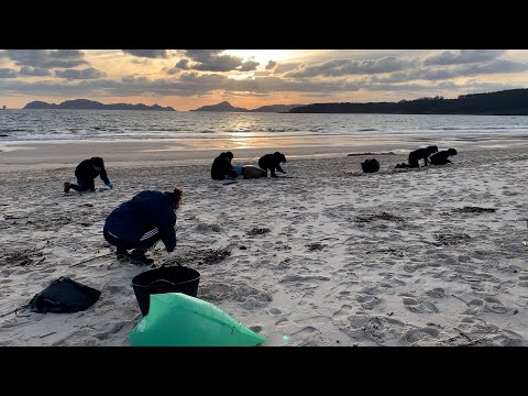 Labores de limpieza de pélets en la playa de Nerga (Cangas)