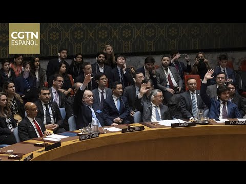 China apoya el ingreso de Palestina en la ONU