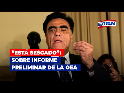 Gonzáles Posada sobre informe preliminar de la OEA: Está sesgado, a favor del Gobierno