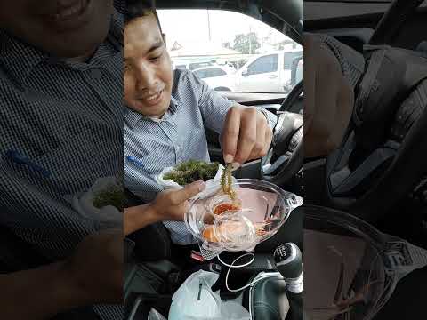 Poengmang Sura กินสาหร่ายพวงองุ่นครั้งแรก