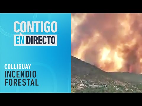 BRIGADISTA FALLECIÓ: Se reactivó incendios forestales en Colliguay - Contigo en Directo