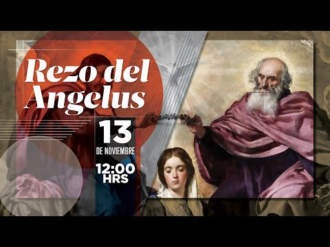 Ángelus, viernes 13/11/2020