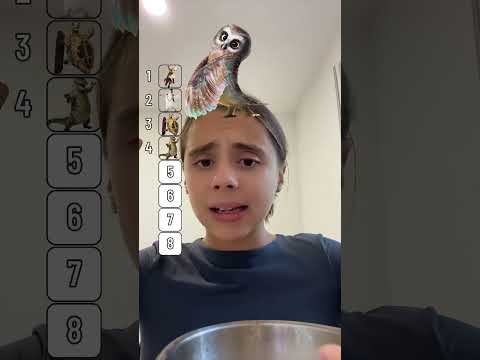 Tiere von der Schule der magischen Tiere 4 ranken💓💓 #ranking  #dieschuledermagischentiere4