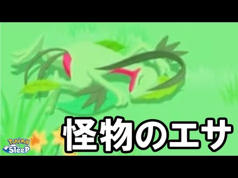 キモリの飴んめえええええええええ。【ポケモンスリープ】
