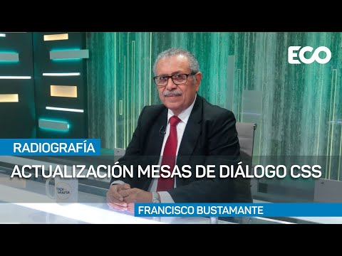 Bustamante: El Estado no puede asumir pensiones sin modificar las  paramétricas |# Radiografía