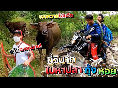 (-ohf*ck-เดอร์ซี่รี่)-ไม่ฮาตรง (-ohf*ck-เดอร์ซี่รี่)-ไม่ฮาตรง