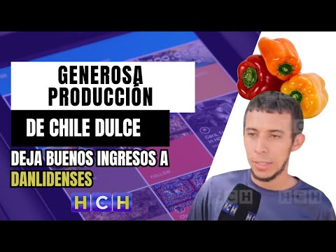 Generosa producción de Chile Dulce deja buenos ingresos a danlidenses