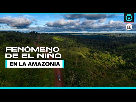 El inusual comportamiento del clima de la Amazonia colombiana en medio de El Niño | El Espectador