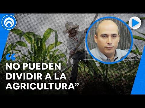 Gobierno quiere desaparecer la agricultura del país: Presidente de Agricultores