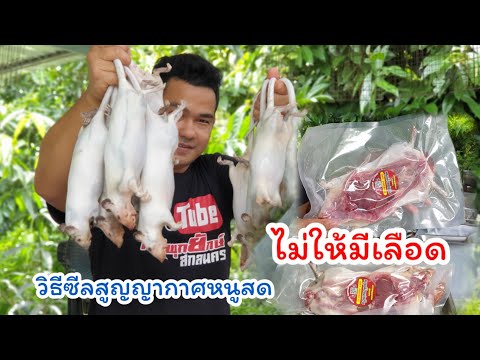วิธีซีลสูญญากาศหนูสดไม่ให้มีเล วิธีซีลสูญญากาศหนูสดไม่ให้มีเล
