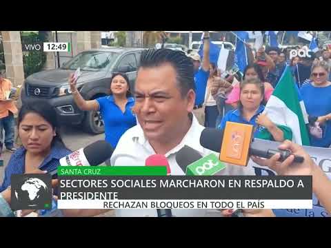 Sectores del Movimiento Al Socialismo respaldan al presidente Arce
