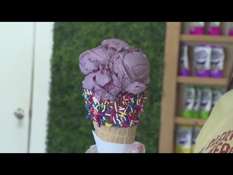 Google: These are the best ice cream shops in Denver