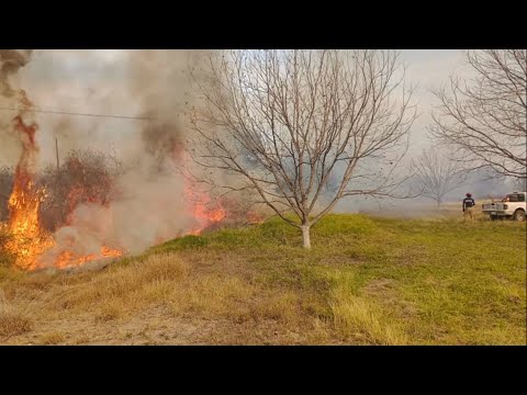 Incendio aparentemente provocado, habría arrasado 15 hectáreas
