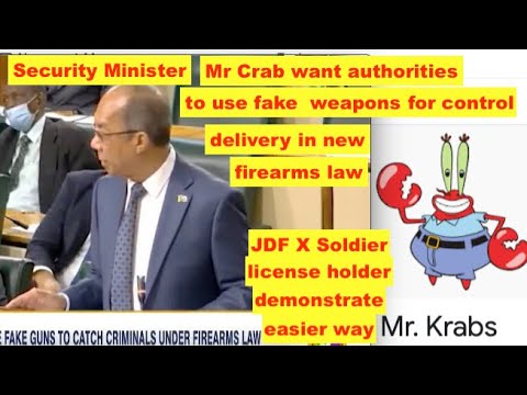 Ja Gov.Security Min Mr Crab,  fake weapons for control delivery,JDF X Soldier show him a simpler way