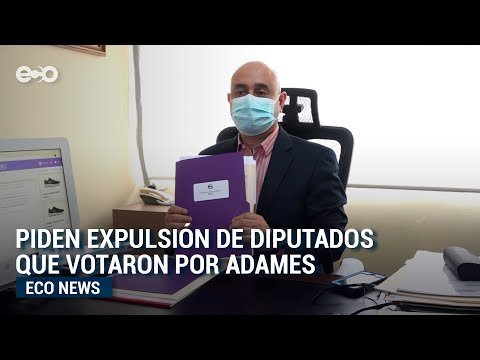 Piden expulsión de diputados que votaron por Adames | Eco News