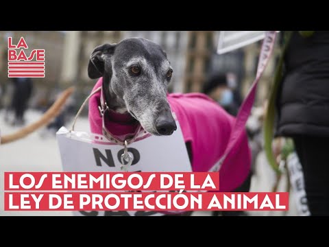 La Base #2x68 - Los enemigos de la Ley de Protección Animal