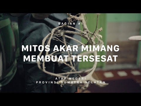 GUNUNG DEMPO - Atap Negeri Sumatra Selatan #1