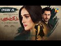 Dil Ik Shehar e Junoon - Episode 20 - 6th Jan 2025 - [ Aiza Awan & Alee Hassan Shah ] - HUM TV