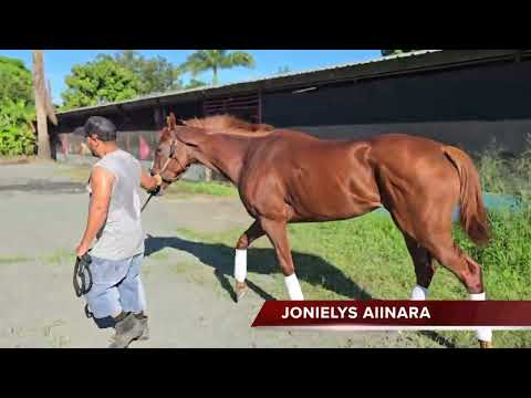 Luis Jonel Cruz habla sobre JONIELYS AIINARA - Clásico Día de la Raza