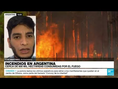 Luis Martínez: Se tomaron medidas tardías para combatir el incendio forestal en Argentina