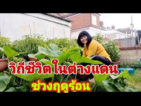 วิถีชีวิตในต่างแดน-ฤดูร้อน-พอเ วิถีชีวิตในต่างแดน-ฤดูร้อน-พอเ