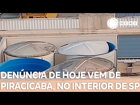 Record News contra a dengue: denúncia de hoje vem de Piracicaba, no interior de SP