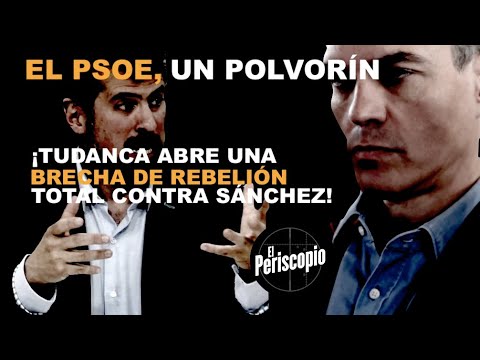 ¡A POR SA?NCHEZ! TUDANCA ABRE UNA BRECHA DE RESISTENCIA TOTAL EN EL PSOE