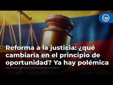 Reforma a la justicia: ¿qué cambiaría en el principio de oportunidad? Ya hay polémica