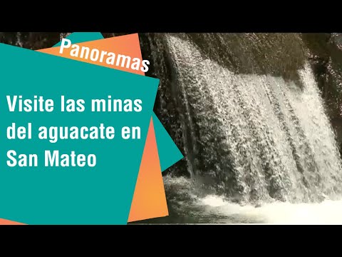 Visite las minas del aguacate en San Mateo de Alajuela | Panoramas