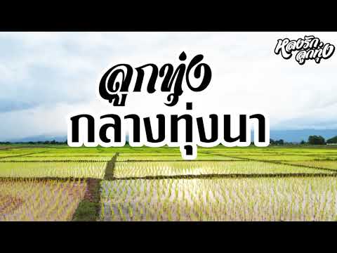 ลูกทุ่ง-กลางทุ่งนา-l-หลงรักลูก ลูกทุ่ง-กลางทุ่งนา-l-หลงรักลูก