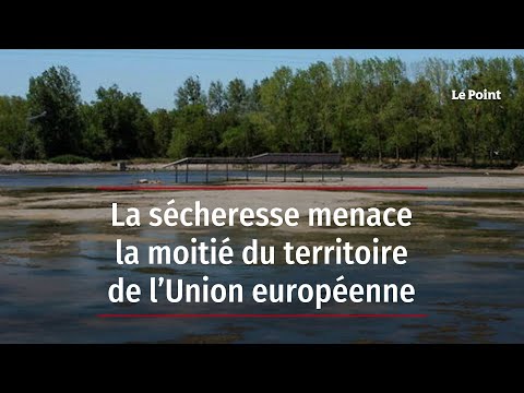 La sécheresse menace la moitié du territoire de l’Union européenne