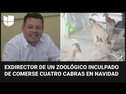 Exdirector de zoológico en México acusado de matar y cocinar cuatro cabras para cena de Navidad