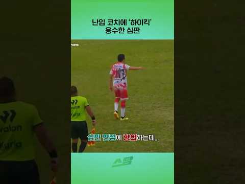 난입 코치에 하이킥 응수한 심판
