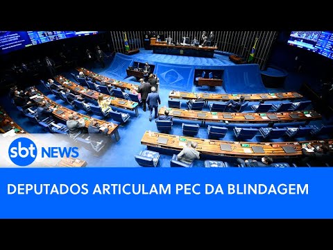 PEC da Blindagem deve afastar parlamentares de investigações | Poder Expresso (29/02/24)