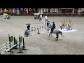 Show jumping horse Getalenteerde 7 jarige CSI lopennde spring merrie te koop
