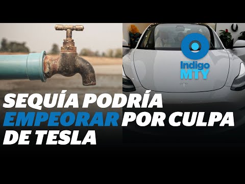 ¿La escasez de agua de Nuevo León podrá aumentar gracias a Tesla? | Reporte Indigo