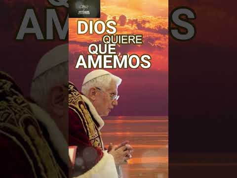 DIOS QUIERE QUE AMEMOS, Frases Papa Benedicto XVI