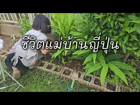 93[dailylife]ชีวิตแม่บ้านญี่ป