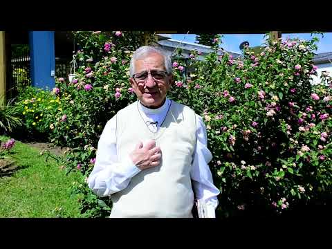 Evangelio de hoy Sabado 12 de Noviembre de 2022  Padre Efraín Arquidiócesis de Manizales