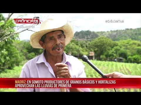 Productores de Somoto aprovechan técnicas para captación de agua– Nicaragua
